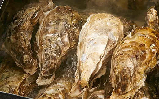 牡蠣のガンガン焼きとむき身セット 〈殻付き牡蠣8個＆むき身牡蠣150g〉【 牡蠣 かき 殻付き むき身 人気 浜焼き 三陸産 】 RT246