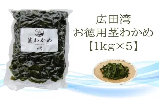 広田湾漁協からお届け！お徳用茎わかめ 1kg×5袋セット 【 海藻 海産物 茎ワカメ 塩蔵 肉厚 大容量 小分け 三陸 広田湾 陸前高田 】 RT2252