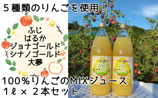 先行予約 【煌め希りんご園】5種類のりんごMIXジュース 1L×2本セット 品種ミックス 〈ふじ/大夢/はるか/ジョナゴールド/シナノゴールド〉【 りんごジュース りんご ジュース 飲料 化粧箱入り 岩手 陸前高田 】2025年11月頃から順次発送予定 RT1494