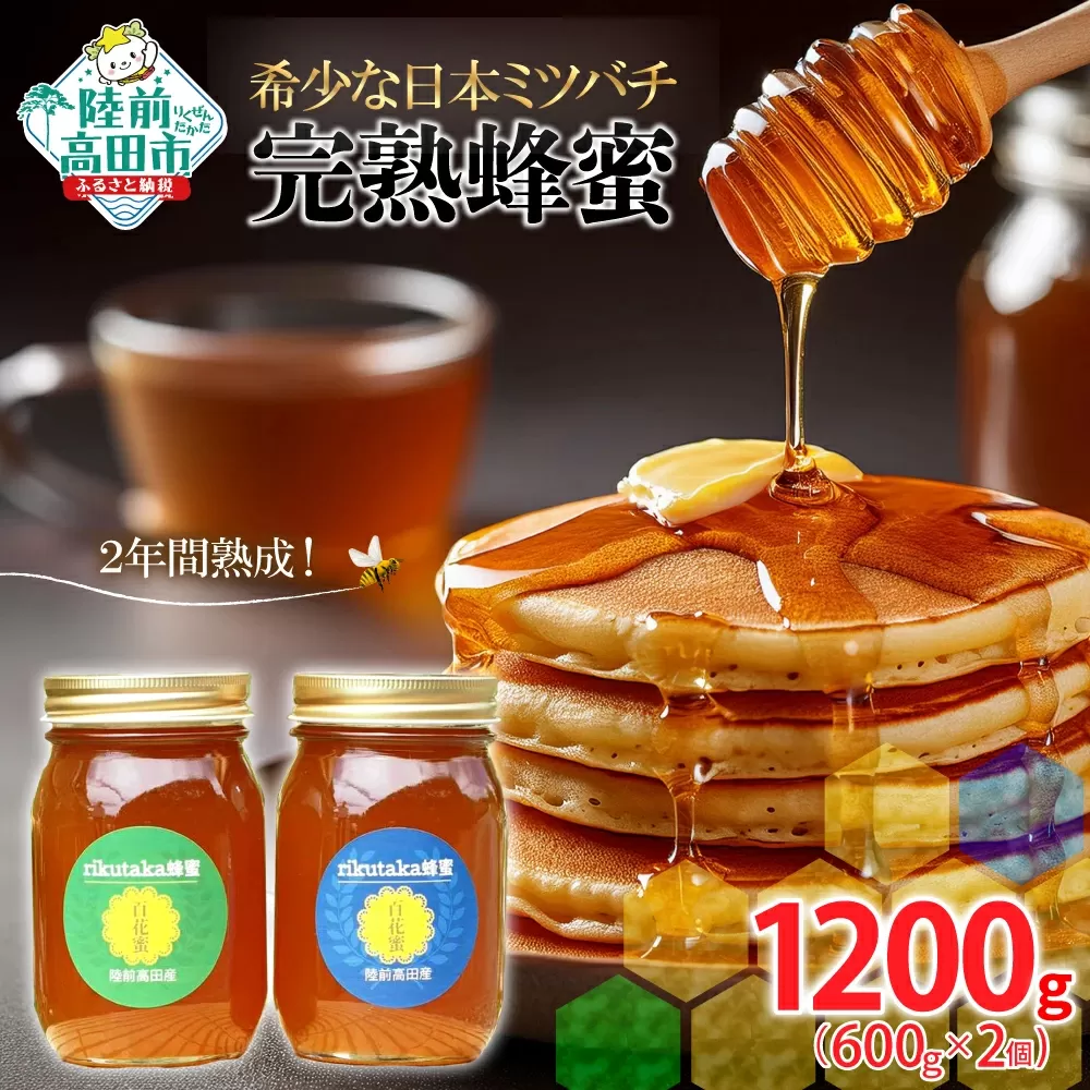【先行予約】 2年間熟成！ 希少な日本ミツバチ 完熟蜂蜜 600g×2個 セット 【 数量限定 はちみつ ハチミツ 岩手県 陸前高田市 】 RT1534