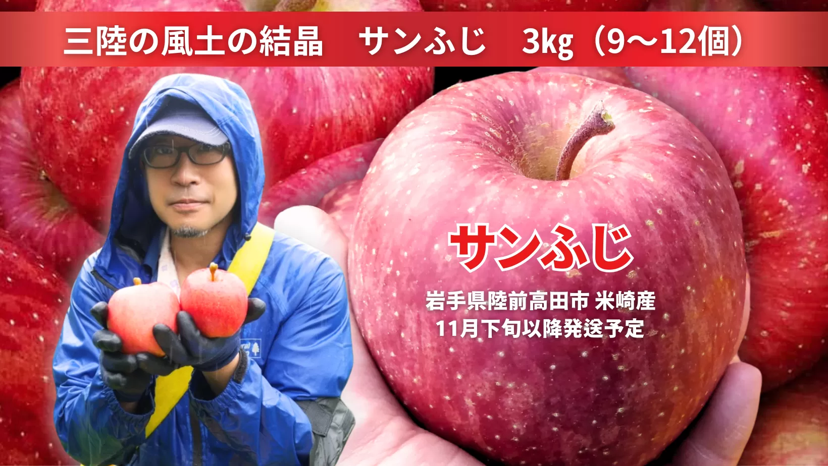 先行予約 【三陸の風土の結晶】 イドバダアップルの サンふじ 3kg 【 りんご 旬 お届け 岩手 陸前高田 】 2025年11月下旬以降発送予定 RT2060