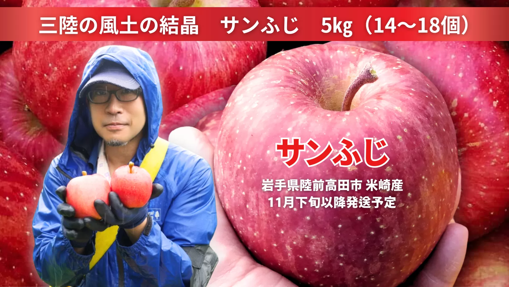 先行予約 【三陸の風土の結晶】 イドバダアップルの サンふじ 5kg 【 りんご 旬 お届け 岩手 陸前高田 】 2025年11月下旬以降発送予定 RT2061