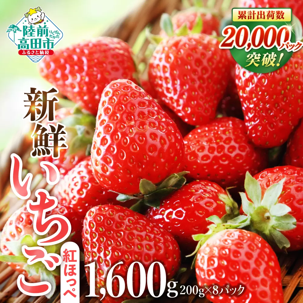 【数量限定】 新鮮いちご 品種：紅ほっぺ 約1600g (200g×8パック) 【 訳あり サイズ不揃い いちご フルーツ 旬 小分け 人気 業務用 大容量 岩手 陸前高田 】 RT3272
