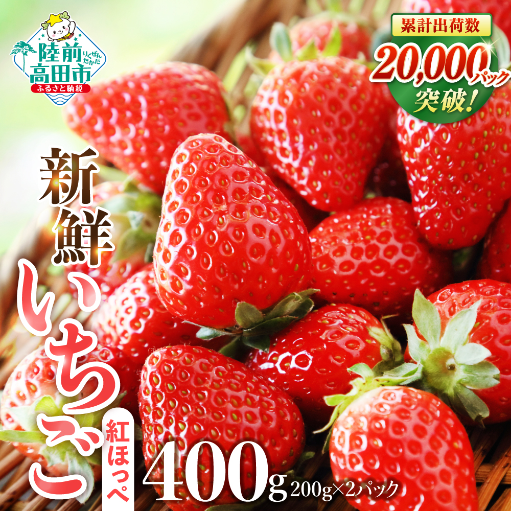 【先行予約/数量限定】 新鮮いちご 品種：紅ほっぺ 約400g (200g×2パック) 【 訳あり サイズ不揃い いちご フルーツ 旬 小分け 人気 岩手 陸前高田 】2026年2月頃から順次発送予定 RT3272