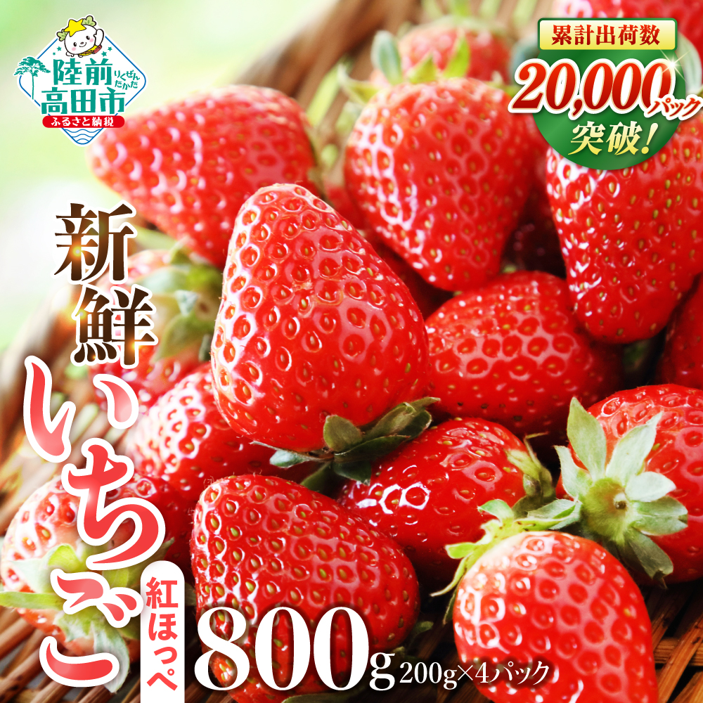 【先行予約/数量限定】 新鮮いちご 品種：紅ほっぺ 約800g (200g×4パック) 【 訳あり サイズ不揃い いちご フルーツ 旬 小分け 人気 岩手 陸前高田 】2026年2月頃から順次発送予定 RT3272