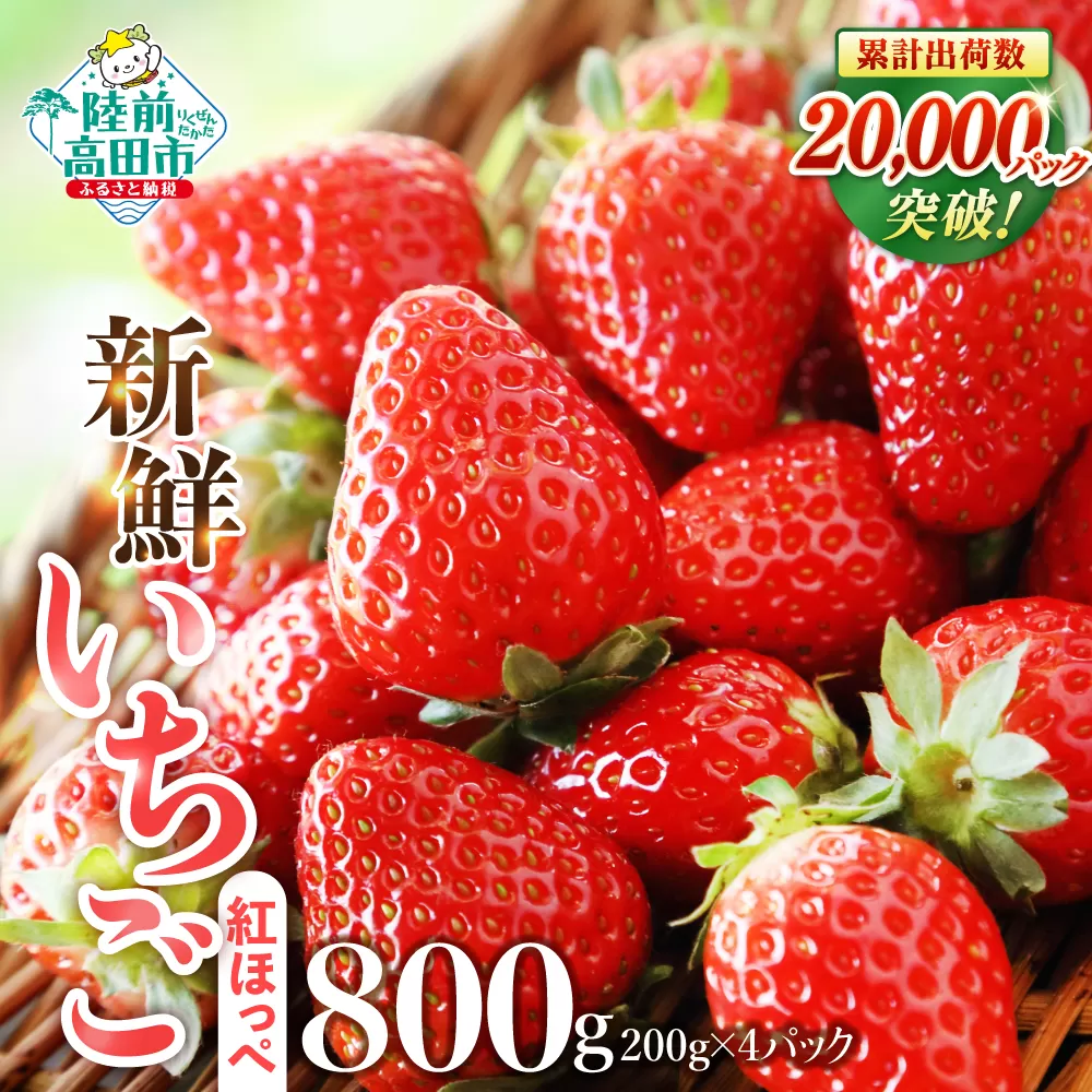 【先行予約/数量限定】 新鮮いちご 品種：紅ほっぺ 約800g (200g×4パック) 【 訳あり サイズ不揃い いちご フルーツ 旬 小分け 人気 岩手 陸前高田 】2026年2月頃から順次発送予定 RT3272