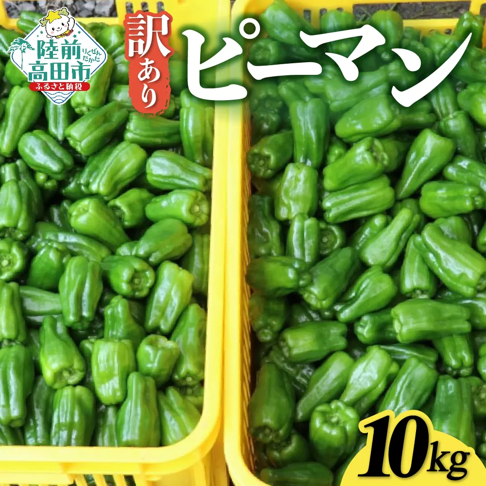 訳あり 規格外 ピーマン 約10kg 【 不揃い 産地直送 新鮮 料理 野菜 大容量 岩手県 陸前高田市 Farm Koganeyama 】 RT2724