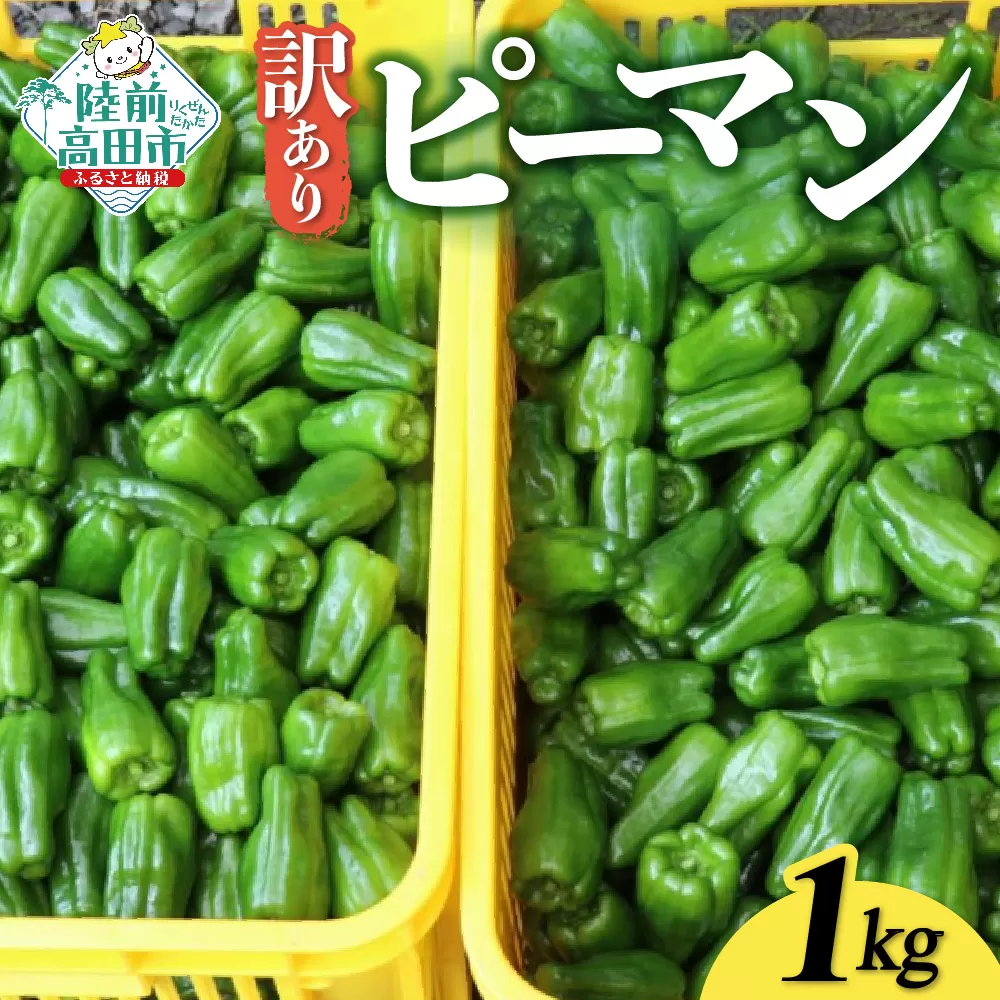 訳あり 規格外 ピーマン 約1kg 【 不揃い 産地直送 新鮮 料理 野菜 大容量 岩手県 陸前高田市 Farm Koganeyama 】 RT2751