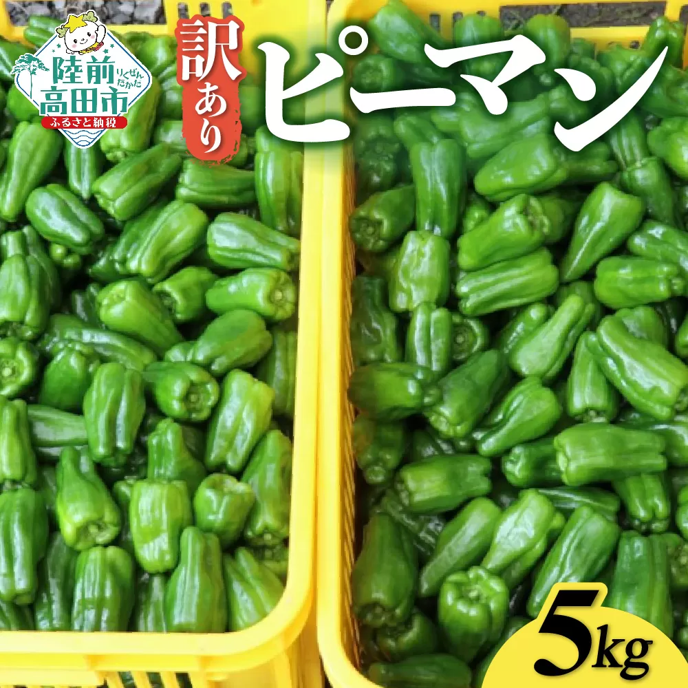 訳あり 規格外 ピーマン 約5kg 【 不揃い 産地直送 新鮮 料理 野菜 大容量 岩手県 陸前高田市 Farm Koganeyama 】 RT2753
