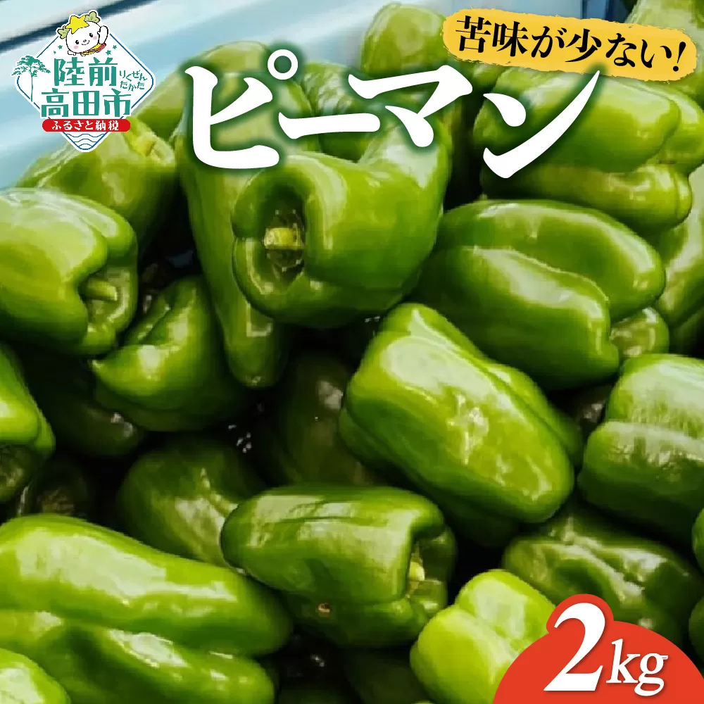 苦みの少ない獲れたて新鮮ピーマン 約2kg 【 産地直送 料理 野菜 岩手県 陸前高田市 Farm Koganeyama 】 RT2760