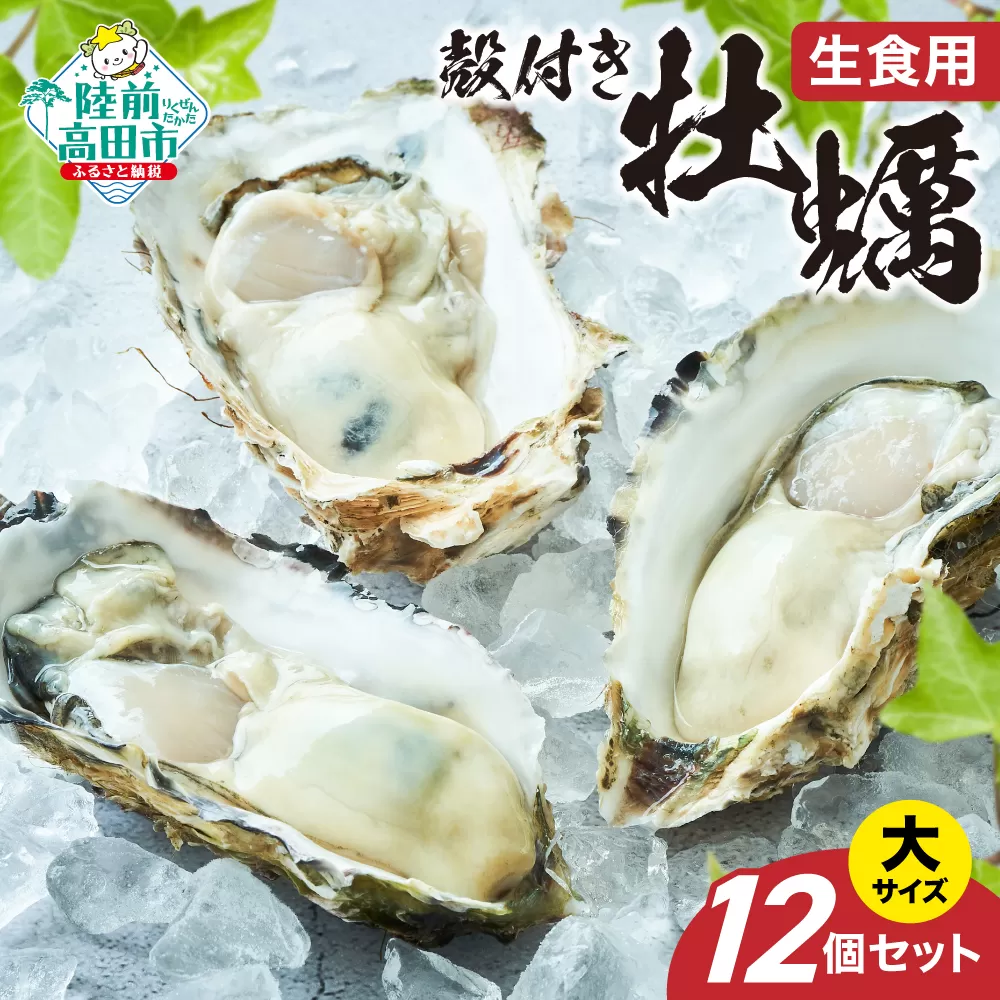 【先行予約】 生食用 殻付き牡蠣 大サイズ 12個セット 『一本松牡蠣』【 天然 牡蠣 かき 殻付き 生食 大粒 旬 産地直送 国産 陸前高田 三陸産 広田湾産 気仙町 】RT2848