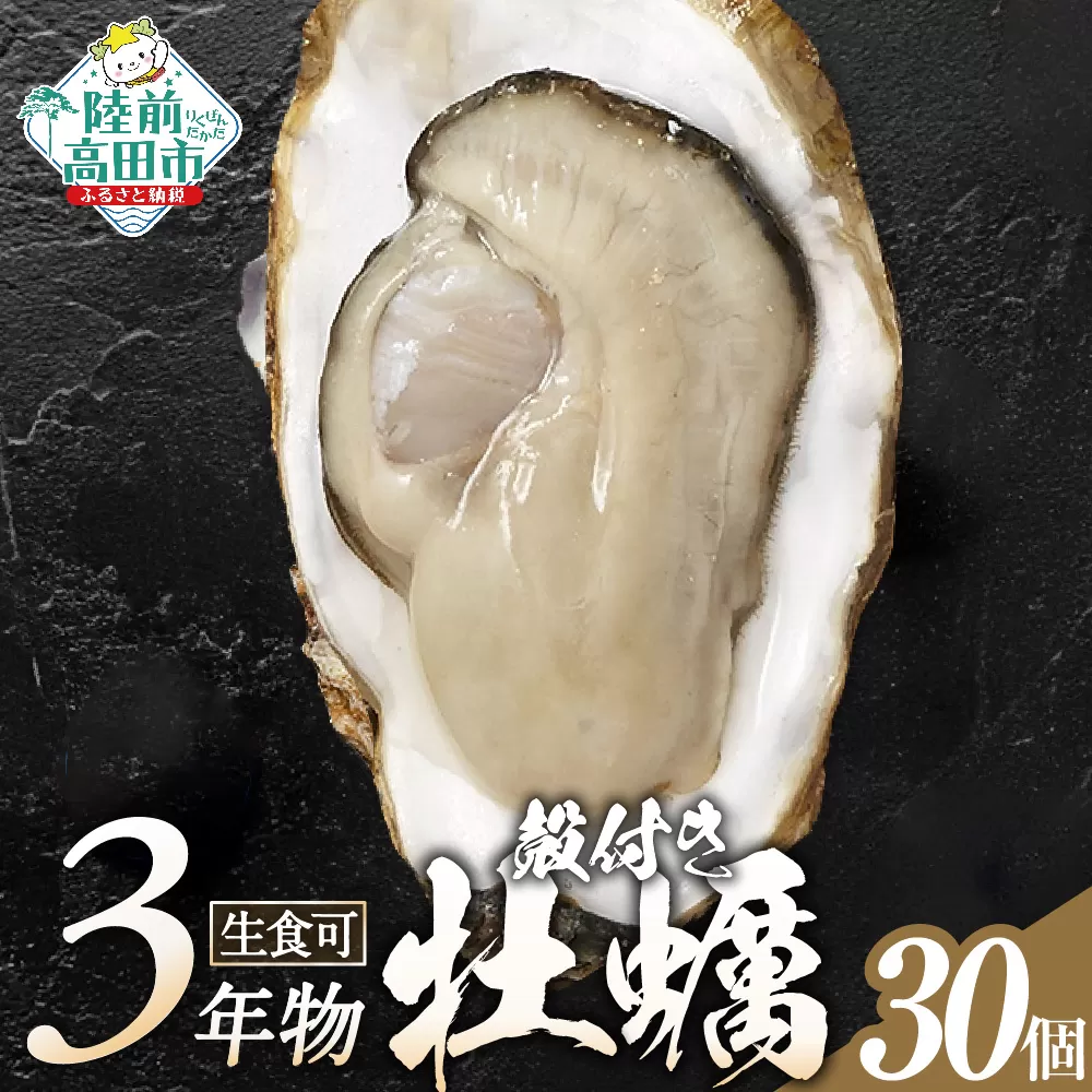 牡蠣 生食用 殻付き 牡蠣30個「3年育成」【 期間限定 】【 生牡蠣 カキ 殻付き 生食 大粒 鍋 国産 真牡蠣 三陸産 広田湾 】 RT394