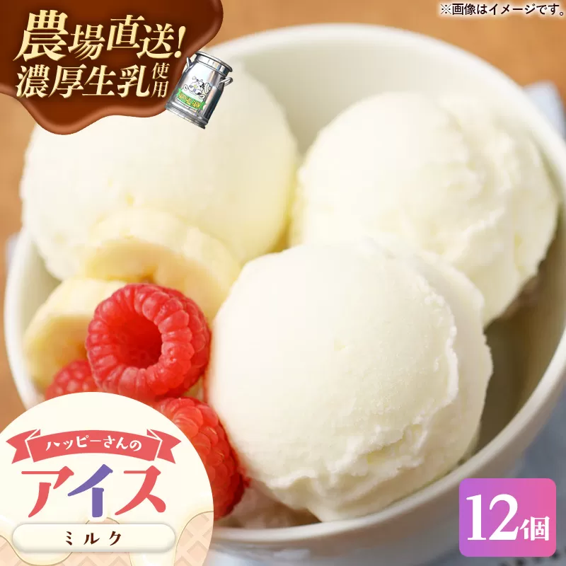 ハッピーさんのアイス（ミルク）12個入 アイスクリーム カップ スイーツ あいす セット ギフト プレゼント 贈り物 夏 ミルク 農場直送 冷凍 岩手県 岩手町