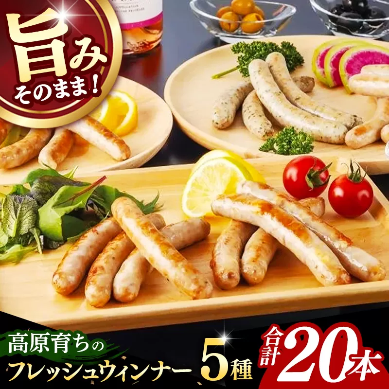 高原育ちのフレッシュウィンナー 5種詰め合わせ 20本 国産 豚肉 肉 冷凍 お肉 ウインナー フレッシュウインナー 生ウインナー ソーセージ 天然腸詰め セット パセリ オニオン ガーリック ブラックペッパー チーズ おつまみ バーベキュー 旨み ギフト 贈り物 贈答用 岩手県 岩手町 いわちく