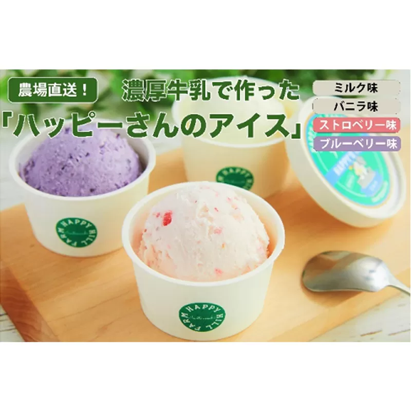 ハッピーさんのアイス ４種類６個入り アイスクリーム カップ スイーツ あいす セット ギフト プレゼント 贈り物 夏 ミルク バニラ ストロベリー ブルーベリー　
