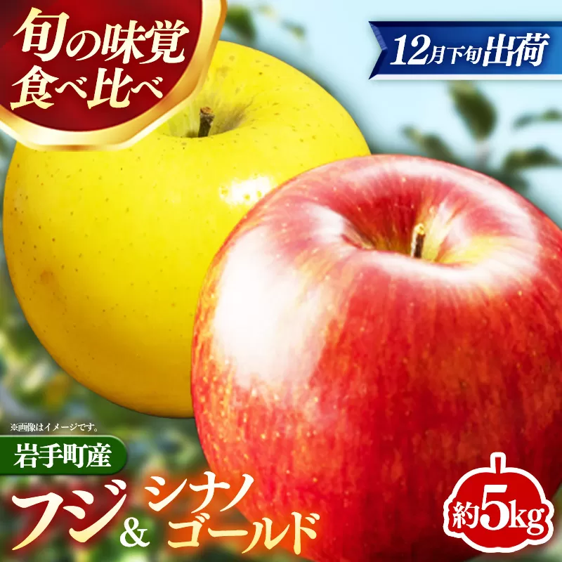 【12月下旬より順次発送】【先行受付】フジ＆シナノゴールド約5kg 令和7年産 りんご リンゴ フジ シナノゴールド フルーツ 果物 くだもの アップル 甘み 酸味 蜜入り ジューシー セット 詰め合わせ 岩手産 岩手県産 岩手県 岩手町 髙村果樹園