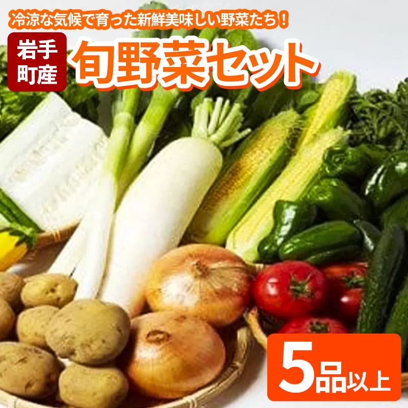 岩手町産の旬野菜セット 野菜 旬 やさい 新鮮 採れたて 詰合せ セット おまかせ