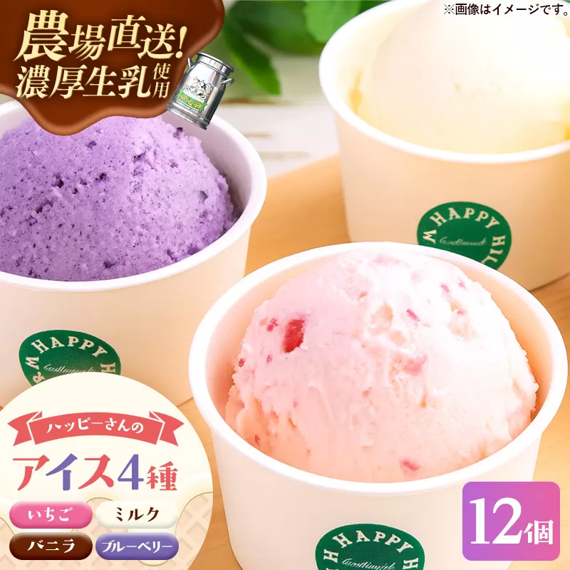 ハッピーさんのアイス 4種類12個入り アイスクリーム カップ スイーツ あいす セット ギフト プレゼント 贈り物 夏 ミルク バニラ ストロベリー ブルーベリー 農場直送 冷凍 岩手県 岩手町