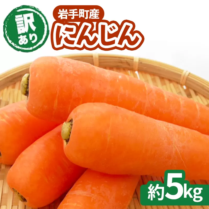 【訳アリ】岩手町産の旬野菜（にんじん）約5kg ニンジン 人参 大容量 ５kg  ワケアリ 訳あり 家庭用 規格外 不揃い 産地直送 送料無料 岩手県 岩手町