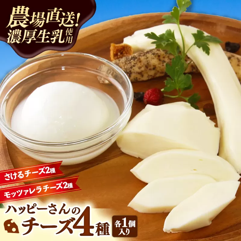 ハッピーさんのチーズ4種セット各1個入り チーズ モッツァレラ さけるチーズ 牛乳 おつまみ ちーず 乳製品 生乳 乳 国産 国産チーズ 食べ比べ セット 詰合せ 詰め合わせ アソート 家飲み 有塩 無塩 プレーン ブラックペッパー 岩手 岩手県 岩手町 ハッピーヒルファーム
