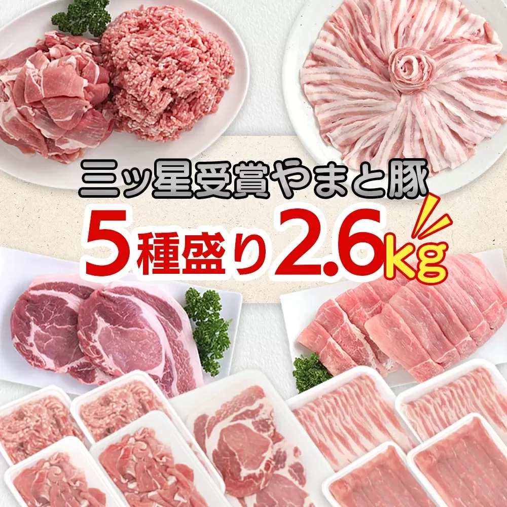 岩手県産 やまと豚５種2.6? 国産 肉 豚肉 やまと豚 鍋 焼肉 豚ロース 豚バラ 豚こま モモスライス ひき肉 とんかつ 生姜焼き しゃぶしゃぶ 真空パック
