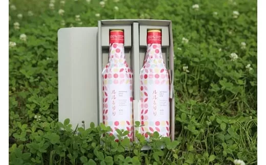 岩手町 リンゴワイン「ルルとリリ」２本セット ワイン リンゴ 酒 わいん ギフト プレゼント りんご お酒 宅飲み 家飲み ご当地 セット 