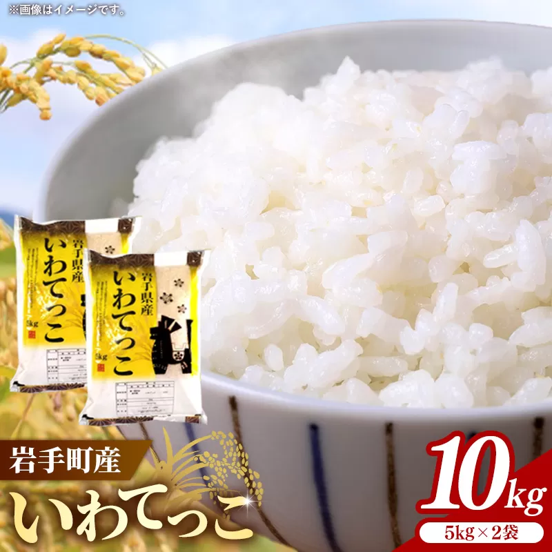 令和7年産岩手町産いわてっこ精米 10kg 米 白米 ごはん 新鮮 粘り 甘み おすすめ 銘柄 送料無料 農家直送 こめ 岩手 岩手町 岩手県 Mふぁ~む