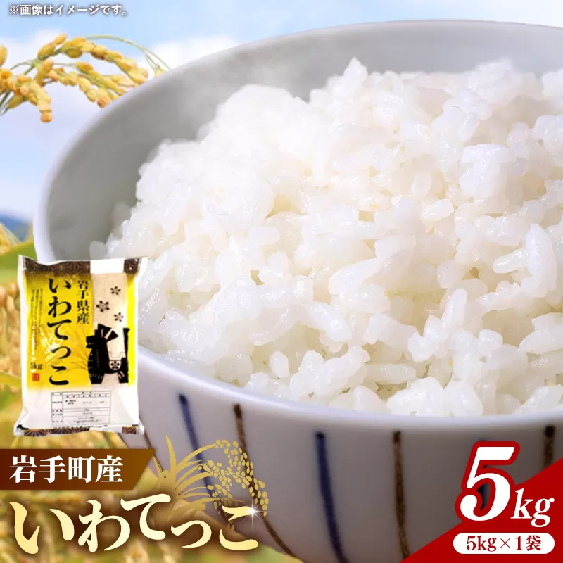 令和7年産岩手町産いわてっこ精米 5kg 米 白米 ごはん 新鮮 粘り 甘み おすすめ 銘柄 送料無料 農家直送 こめ 岩手 岩手町 岩手県 Mふぁ～む