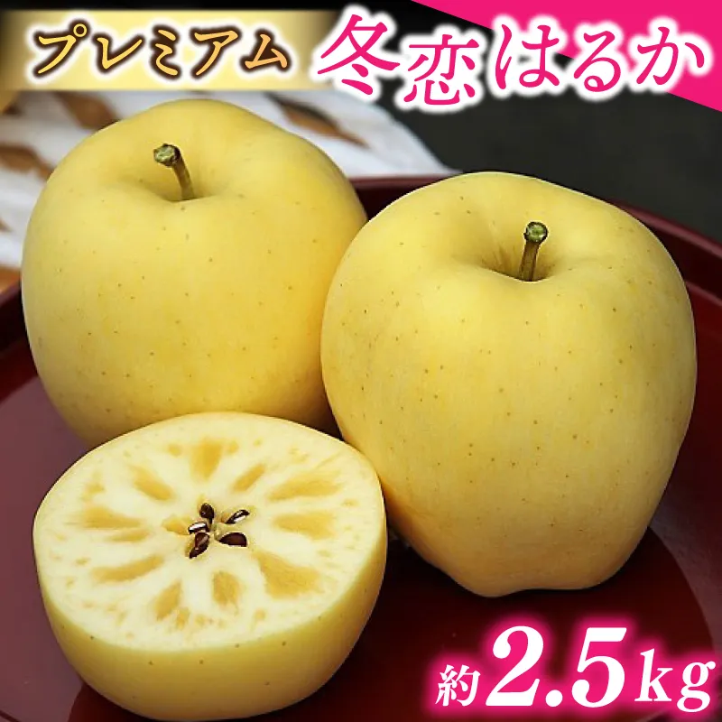 りんご はるか 「プレミアム 冬恋はるか」 約2.5kg 糖度16度以上【先行予約 12月発送予定】 数量限定 岩手県産 高級 りんご リンゴ 林檎 冬恋 はるか フルーツ くだもの 果物 【冬恋研究会】 (AI017)