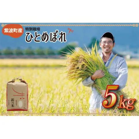 ＼令和6年産／ ひとめぼれ 白米 5kg 【甚乃米 特別栽培米】 さめても美味しい おこめ 白米 岩手県 紫波町産 (AC022)