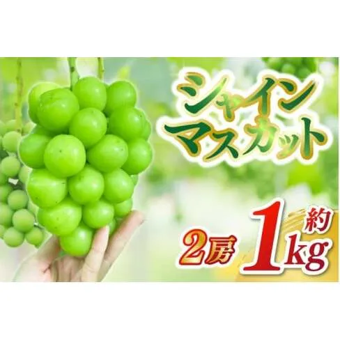 【9月下旬発送予定】シャインマスカット2房セット 約1kg (DH006)