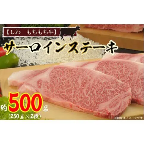 黒毛 和牛【しわ　もちもち牛】 サーロイン ステーキ 約500ｇ (250ｇ×2枚) (AM002-1)