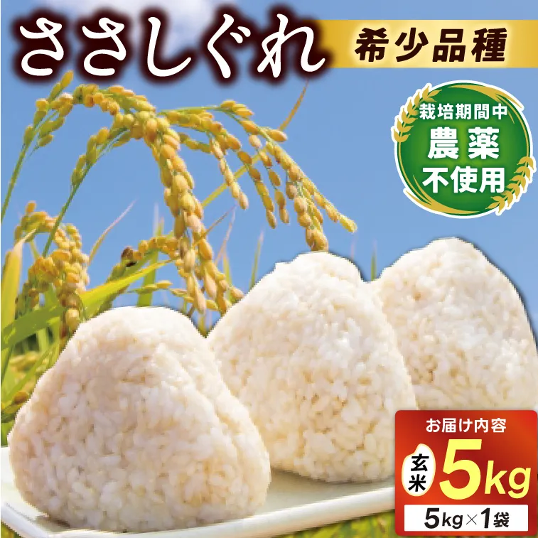 ★令和7年産★ 新米 ささしぐれ 5kg（玄米）ふるさと納税 米 岩手県 (DE008)