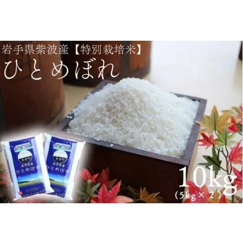 ★令和7年産★ひとめぼれ10kg（5kg×2袋）岩手県紫波町産【特別栽培米】(AD051)