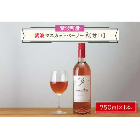 産地限定 ワインぶどう品種使用 紫波マスカットベーリーA 甘口 紫波町産 テロワール ワイン(AL061-2)