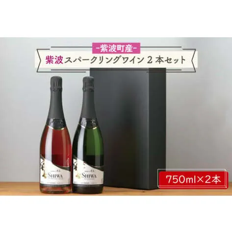 AL065-1 産地限定 ワインぶどう品種使用 紫波スパークリングワイン２本セット 白・ロゼ 紫波町産 テロワール ワイン