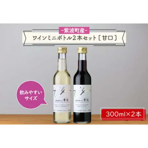 産地限定 ワインぶどう品種使用 ワインミニボトル 2本セット 甘口 ふるさと納税 紫波町産 テロワール ワイン (AL057-2)