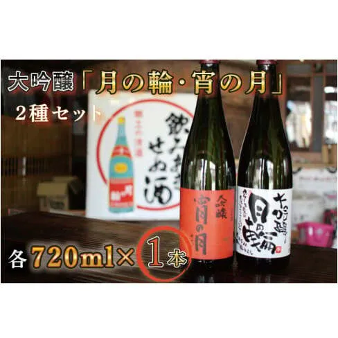 【月の輪】大吟醸2種セット (AW010)