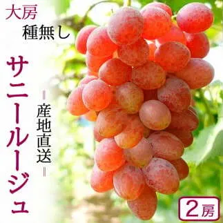 【先行予約】サニールージュ 約1kg ( 2房 ) (AR031) 2026年産 ぶどう 希少品種 8月下旬発送 岩手県 紫波町産 産地直送 フルーツ ギフト 贈答用 数量限定 完熟 甘い 葡萄 ブドウ
