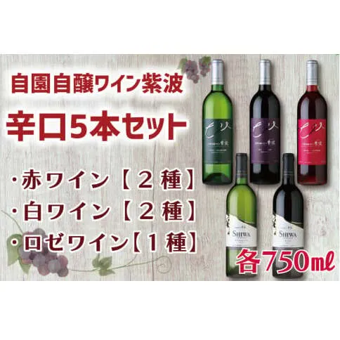産地限定 ワインぶどう品種 使用 「自園自醸ワイン紫波辛口５本セット」紫波町産 テロワール ワイン (AL035)