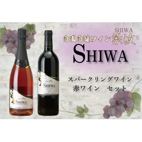 AL063-1 産地限定 ワインぶどう品種使用 スパークリングワイン・赤ワインセット 自園自醸ワイン紫波 紫波町産 テロワール ワイン