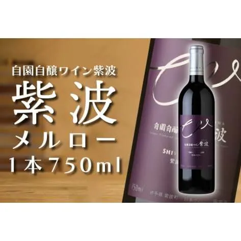 産地限定 ワインぶどう品種使用 「紫波 メルロー」自園自醸ワイン紫波 紫波町産 テロワール ワイン（AL047-2）