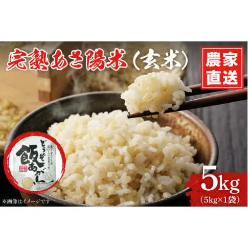 \令和7年産/ 完熟あさ陽米 (玄米) 5kg ひとめぼれ 特別栽培米 生産農家直送 (CP031)