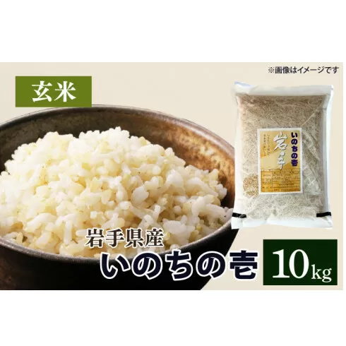 令和6年産 いのちの壱 「玄米」10kg　(CA023)