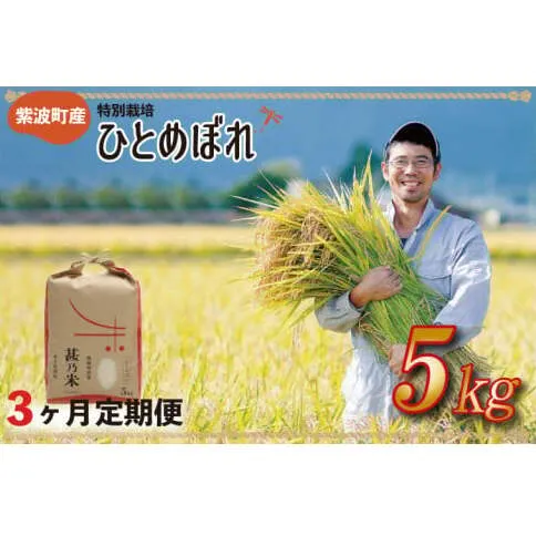 【令和6年産】ひとめぼれ 5kg 【3ヶ月定期】【特別栽培米】 岩手県 紫波町産 (AC025)