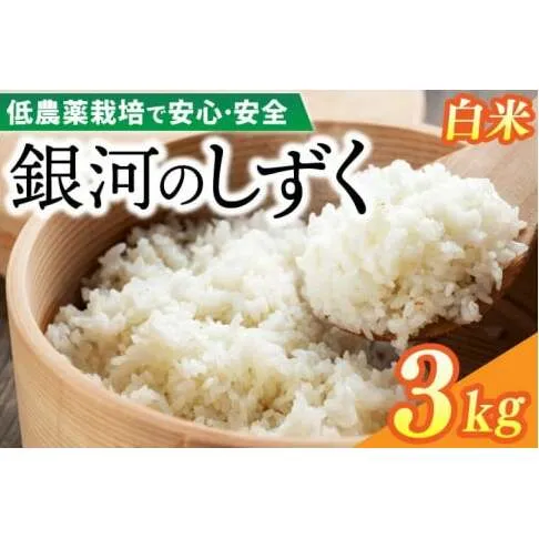 【新米】令和6年産 銀河のしずく 3kg (精米) 低農薬栽培米 生産者直送 (EI011)