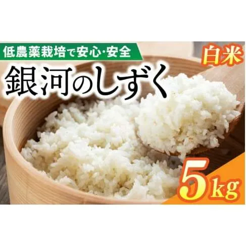 【新米】令和6年産 銀河のしずく 5kg (精米) 低農薬栽培米 生産者直送 (EI012)