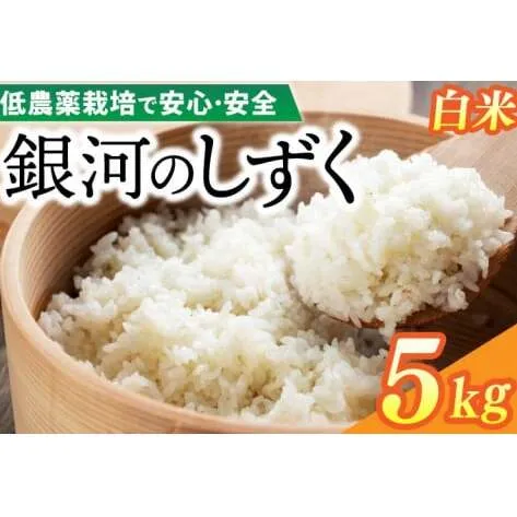 【新米】令和7年産 銀河のしずく 5kg (精米) 低農薬栽培米 生産者直送 (EI012)