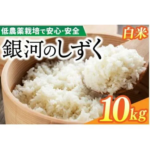 【新米】令和6年産 銀河のしずく 10kg (精米) 低農薬栽培米 生産者直送 (EI013)