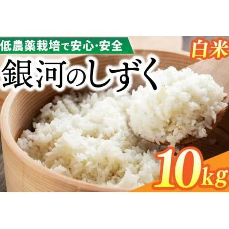 【新米】令和7年産 銀河のしずく 10kg (精米) 低農薬栽培米 生産者直送 (EI013)